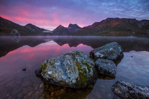 Tasmania cradle mountain, tasmania, fagus, autumn, dove lake