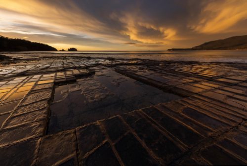 Golden light at the Tesselated Pavement tessellated pavement, tasmania