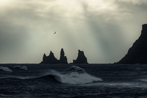 A moderate swell with offshore winds at Vik Vik, Iceland