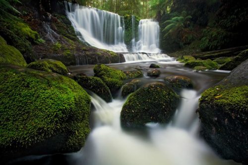 Fagus season at Horseshoe Falls in Mount Field NP Horseshoe Falls, Mount Field, Tasmania