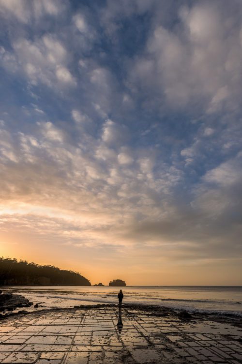 Sunrise reflections at the iconic Tessellated Pavement tessellated pavement, Tasmania