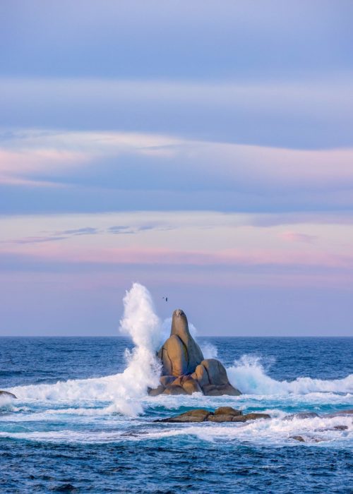 One of the more easily recognisable rock formations found at the Bay of Fires Bay of Fires, Sloop rock, The Gardens, Tasmania