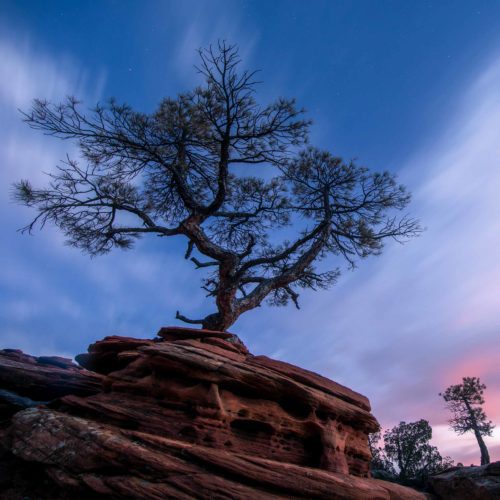 Evening glow on the sandstone world of Zion NP Zion NP, Utah