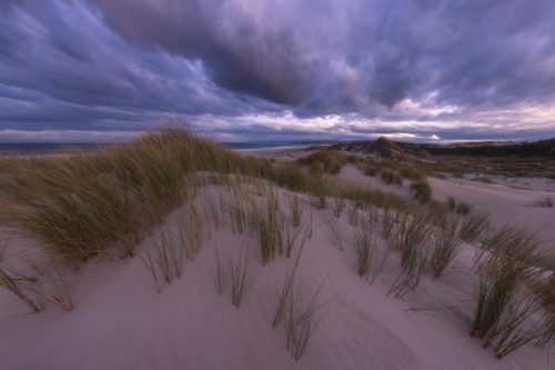Moody evening on the dunes of St Helens St Heles, Peron dunes, Tasmania