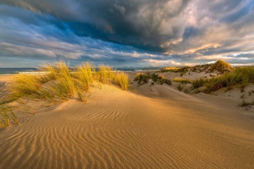 Found some pristine ripples, warm afternoon light and storm clouds St Helens, Tasmania, Peron dunes