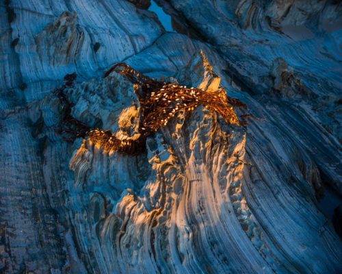 Shoreline detail on the Tarkine coast Tarkine wilderness, tasmania