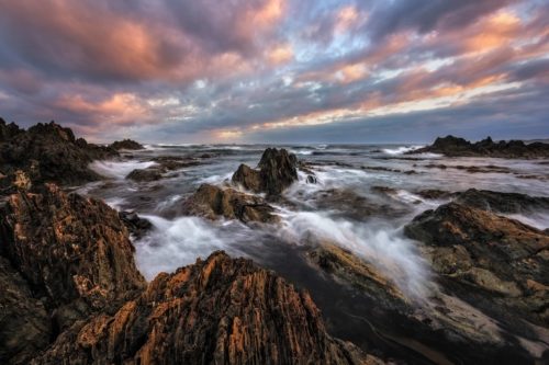 The rugged coastline of the Tarkine Wilderness tarkine, Tasmania