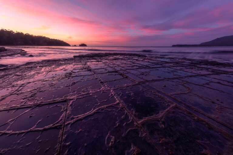 A composition showing some of the more complex patterns in rock platforms of the Tesselated Pavement Tasmania, Tesselated Pavement, Eaglehawk neck, Tasman peninsula