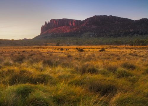 Mount Oakleigh from the Pelion Plains at sunset Overland Track, Mount Oakleigh, Tasmania
