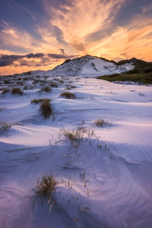 The impressive dune system of the Bay of Fires at sunset Bay of Fires, Tasmania, Mount William NP