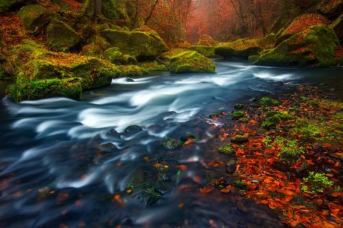 Peak autumn colours in Saxon Switzerland NP Czech Republic, Saxon Switzerland NP, autumn