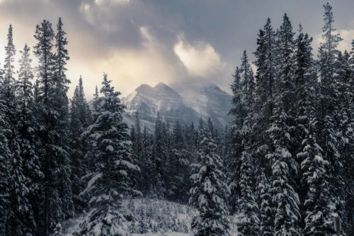 The beginning of a beautiful day after snowfalls in Lake Louise Lake Louise, Canada, Canadian Rockies, winter