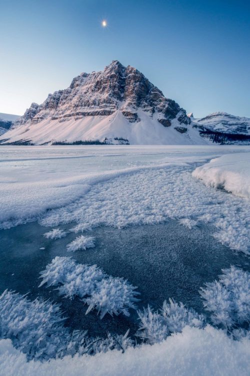 Icy treats in winter at Bow Lake Bow Lake, Icefield Parkway, Canadian Rockies, Canada
