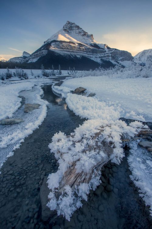 Consistently low temperatures produced these beautiful hoar frost patterns which in combination with open water worked a treat for shooting the Canadian Rockies in winter Canada, Canadian Rockies, Mount Tangle, winter, Jasper, Icefield Parkway