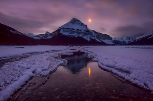 Ice flowers at sunrise in the Canadian Rockies Canadian Rockies, Tangle, winter, Jasper