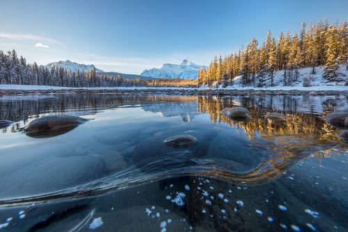 Transition of autumn into winter in the Canadian Rockies Canada, Canadian Rockies, Icefield Parkway, Jasper NP