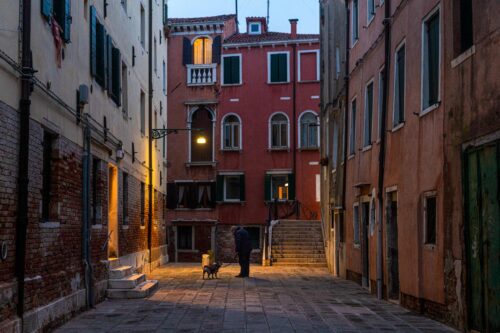 Walking the dog in the evening Venice, Venezia, street