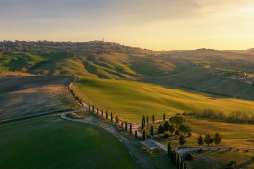 The rolling hills of the Val d'Orcia at sunrise with a view to the town of Pienza Pienza, Tuscany, Toscana, Val d'Orcia