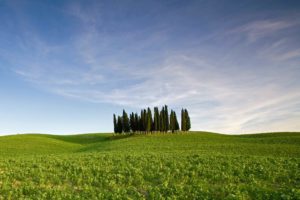 Val d'Orcia, Toscana, Tuscany, Italy, cypress trees