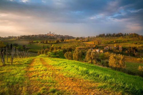 View to the characteristic town of San Gimignano with its iconic towers Sna Gimignano, Toscana, Tuscany, Italy