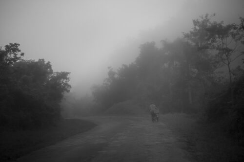 Captured this atmospheric scene on a morning run around Vinales Vinales, Cuba, fog, bicycle