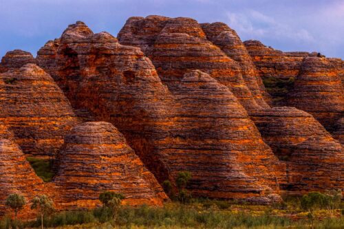 A few trees showing the immense scale of the Bungle Bungles formations in Purnululu NP Bungle Bungles, Purnululu, Western Australia