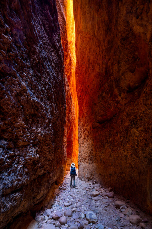 Reflected light creeps in to Echidna chasm in the morning Echidna Chasm, Purnululu, Bungle Bungles, Western Australia