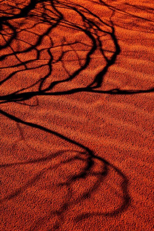 Shadows on sand ripples in the Red Centre Uluru, Kata Tjuta NP, Northern Territory