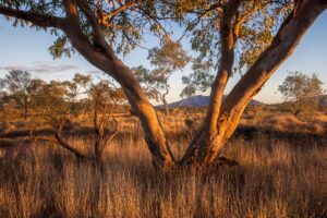 West McDonnell National Park, Northern Territory, Glen Helen, Mount Sonder, Australia