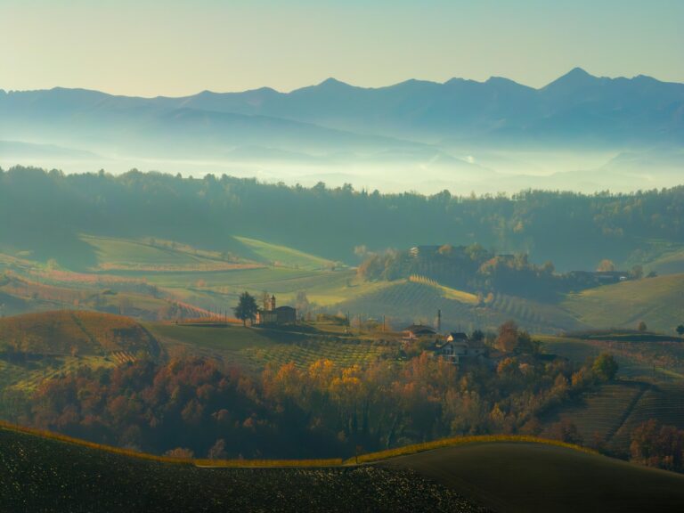 Piedmonte, Langhe, Monforte d'Alba