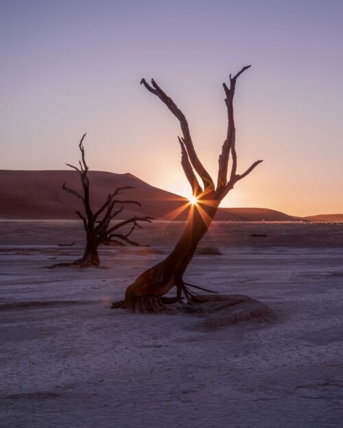 deadvlei, Namibia, Namib-Naukluft