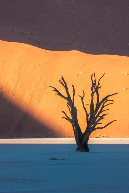 deadvlei, Namibia, Namib-Naukluft