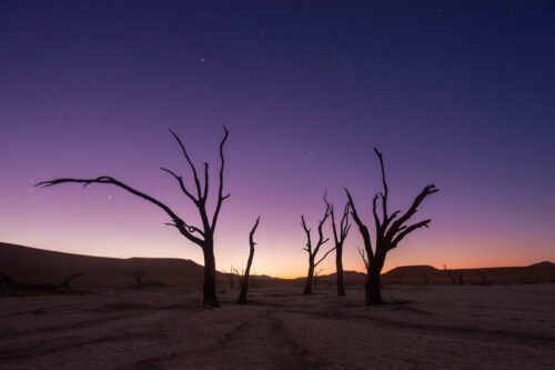 Deadvlei, Namibia, Namib-Naukluft