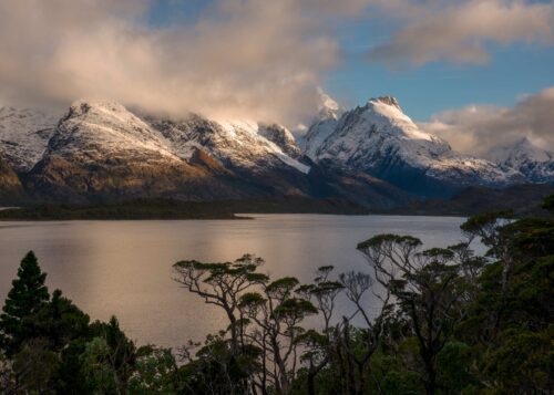 A view of the Chilean fiords which we accessed via boat, scouted on zodiacs and explored on foot Chilean fiords, Chile, Patagonia