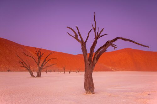 deadvlei, Namibia, Namib-Naukluft