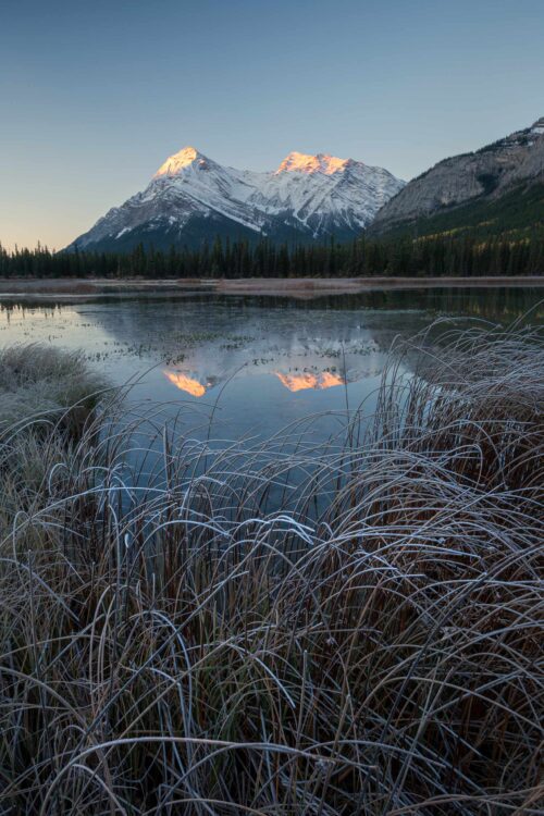 Frost on a clear autumn day in White Goat Lakes Whitegoat lakes, White Goat Wilderness, Alberta, Canada, Canadian Rockies
