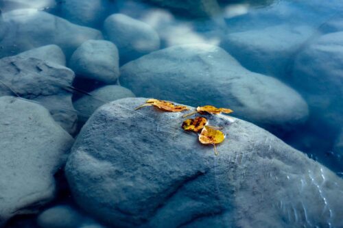 Changing of the seasons in the Canadian Rockies Icefields Parkway, Canadian Rockies