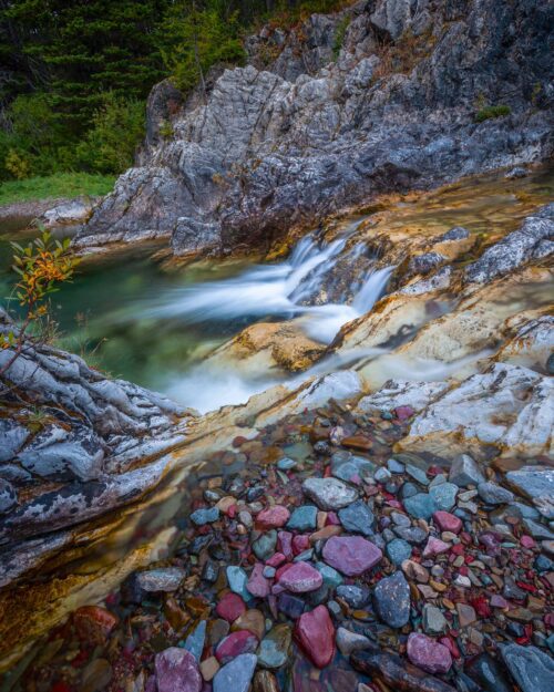 Multicoloured rocks at a stream in Waterton Lakes NP Waterton Lakes National Park, Canada