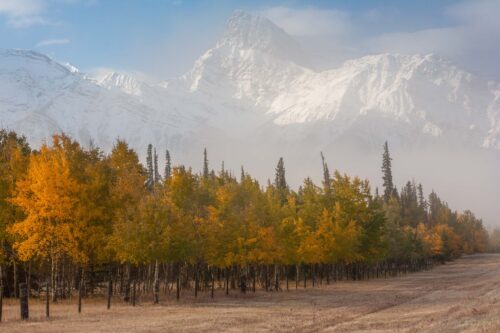 Fog being burnt off by the morning light in David Thompson country David Thompson country, Canada, Canadian rockies, autumn