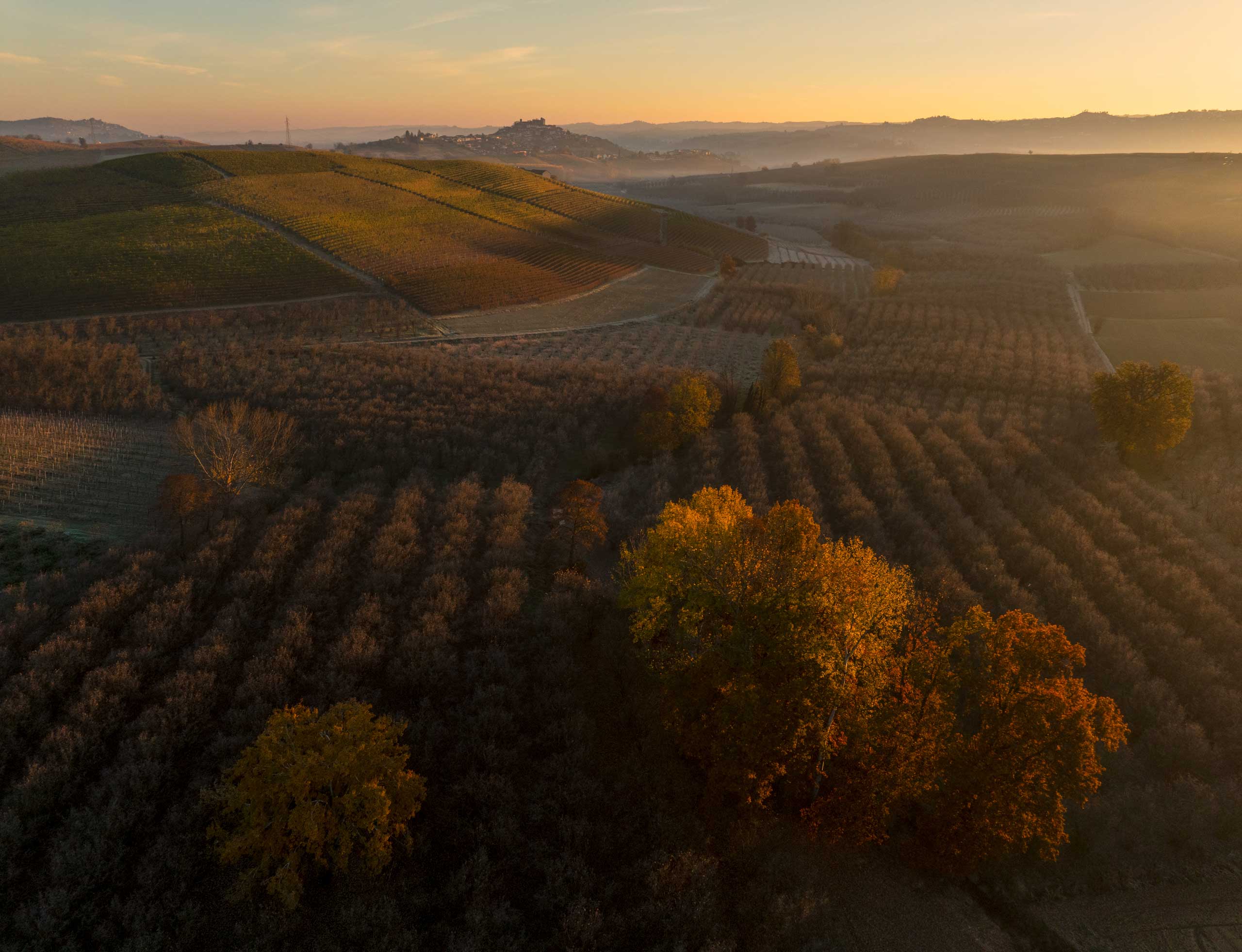 Langue, La Morra, Piedmonte, autumn