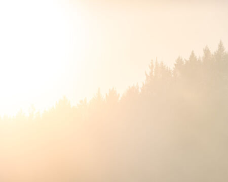 Sunrise hitting fresh snow and frost on the trees around Queenstown frost, snow, trees, Queenstown, winter