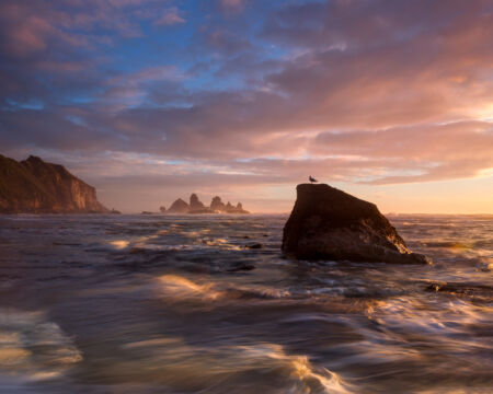 A lone seagull gives scale and depth to this west coast scene in New Zealand Motukiekie, New Zealand