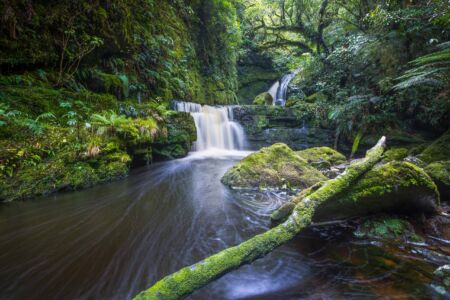 A landscape from New Zealand's deep south, the Catlins Mcleans Falls, Catlins, New Zealand