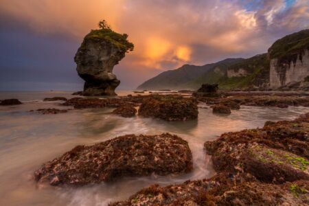 All sorts of otherworldly elements this morning on the west coast of New Zealand Motukiekie, New Zealand