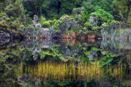A lake in the Catlins formed after the last ice age being slowly reclaimed by forest Lake Wilkie, Catlins, New Zealand