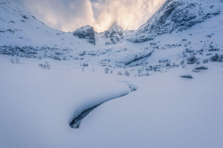 Found a nice leading line in the snow Lofoten, Norway