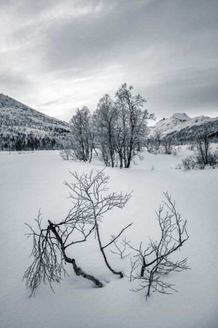 Stark beauty of winter in the mountains of Norway Norway, winter