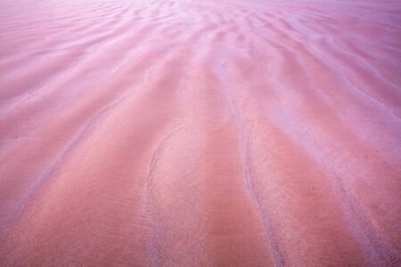 Glowing sand at Tidal River in Wilsons Prom at sunrise Wilsons Prom,