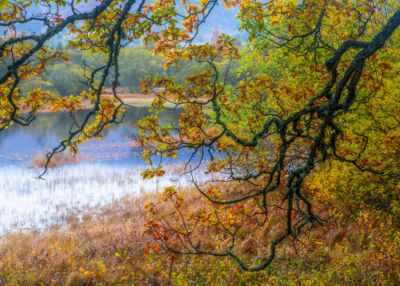 Autumn in Pitlochry autumn, Scotland, Pitlochry