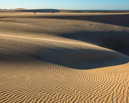 Desert landscape of Mungo National Park desert, sand dunes, Mungo National Park, New South Wales